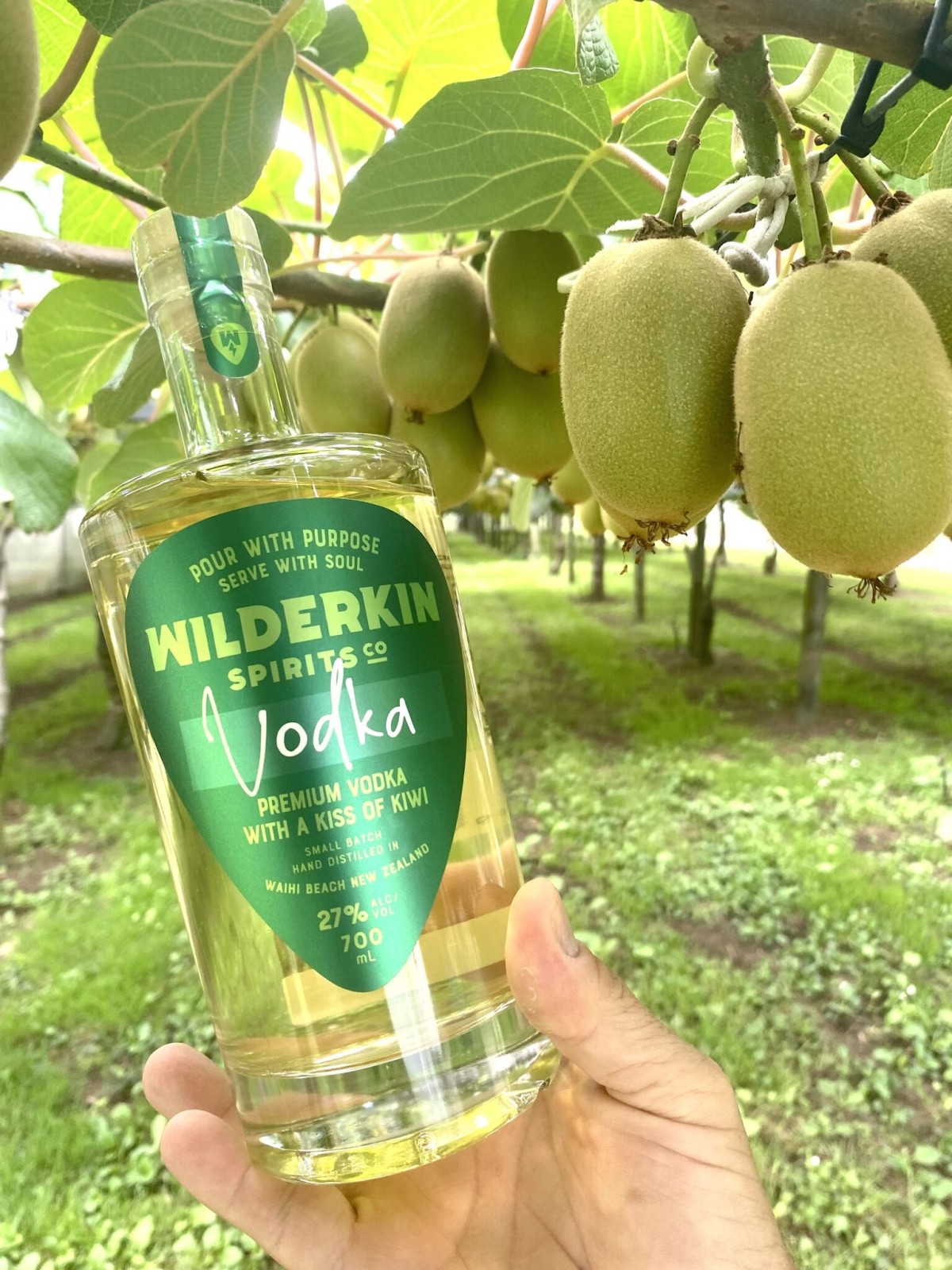 Wilderkin Kiss of Kiwi