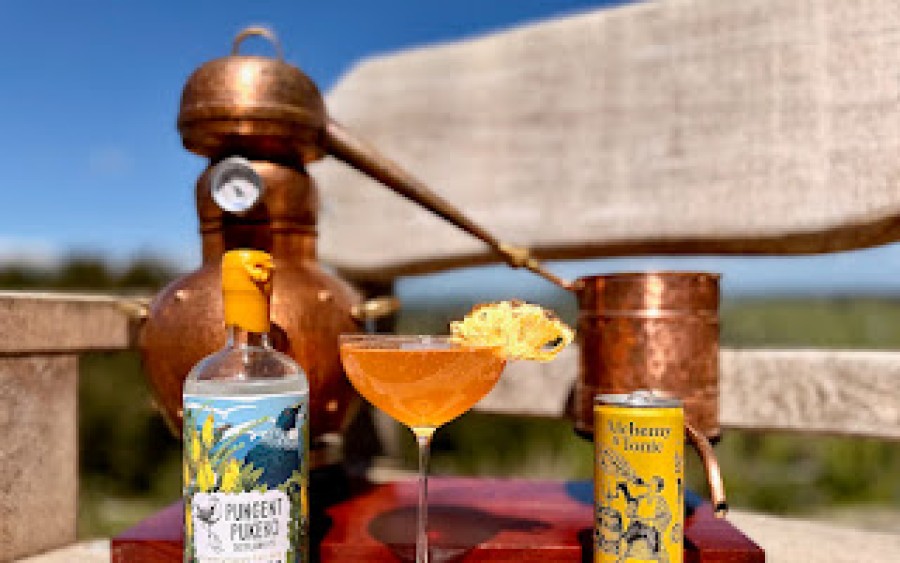 Temptatious Tui Gin Cocktail