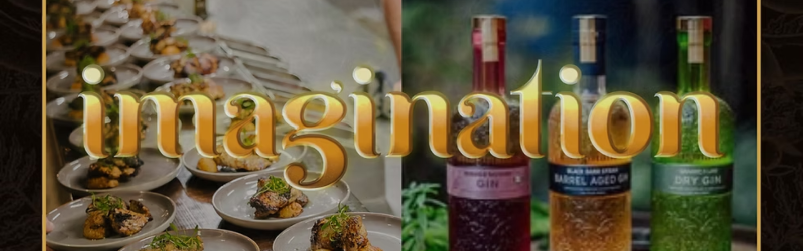 Imagination Distilling